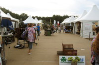 Horse Event Deurne