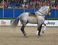 Horse Event Deurne