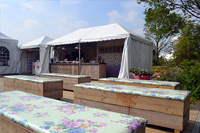 Libelle Zomerweek